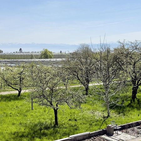 Ferienwohnung Plocher Immenstaad am Bodensee Esterno foto