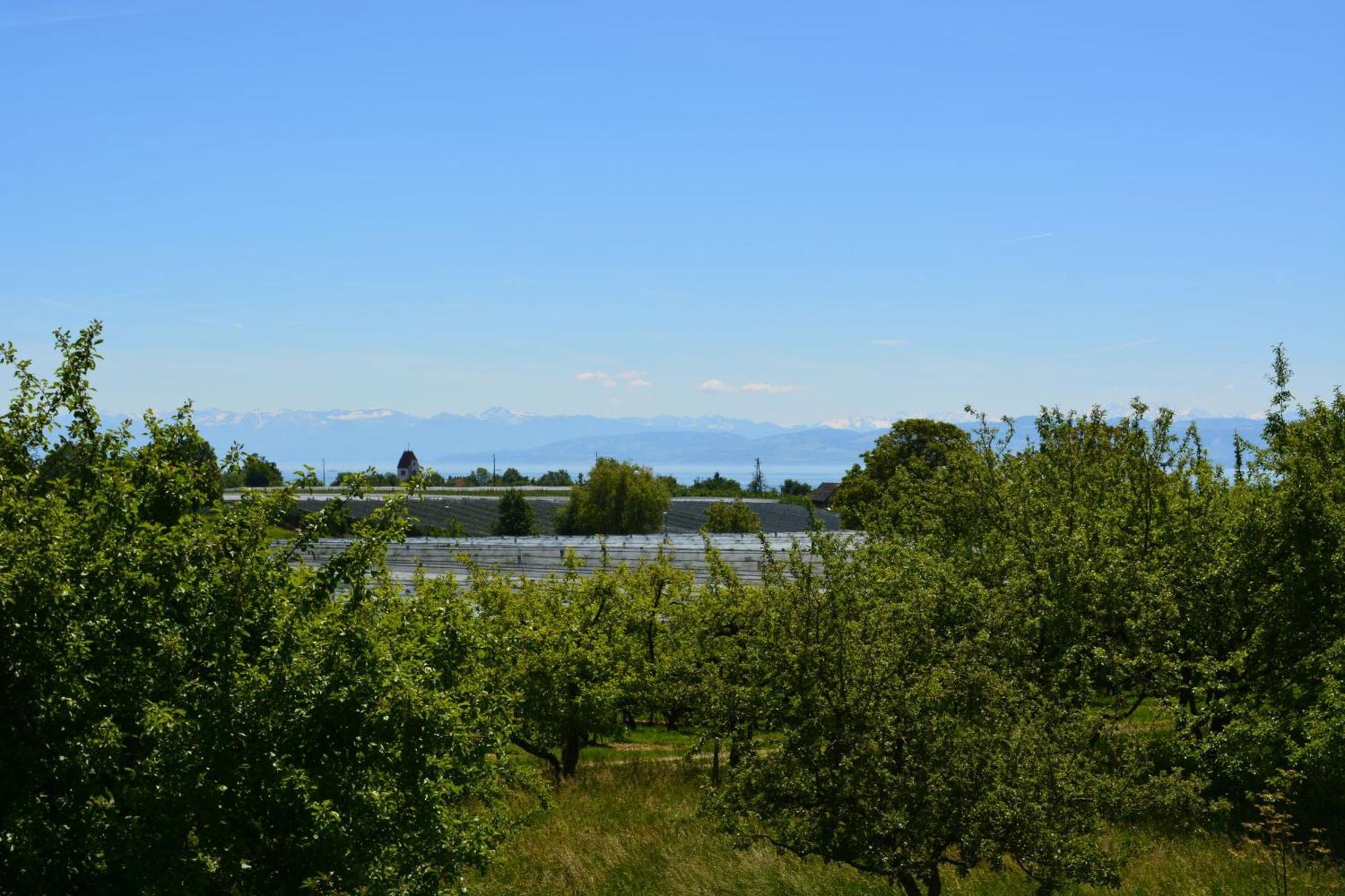 Ferienwohnung Plocher Immenstaad am Bodensee Esterno foto