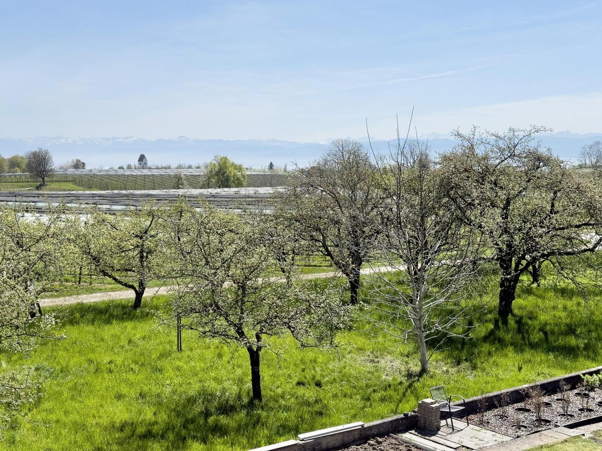 Ferienwohnung Plocher Immenstaad am Bodensee Esterno foto